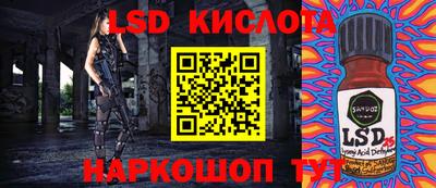 индика Шелехов