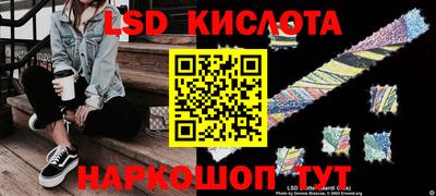 шишки Шахты