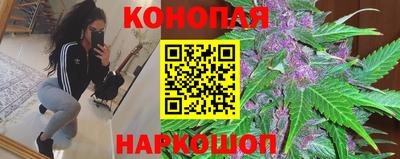 шишки Шахты