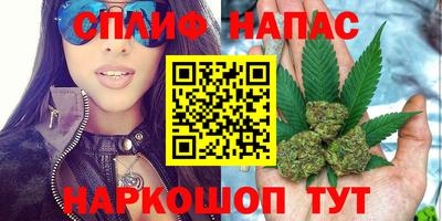 индика Шелехов