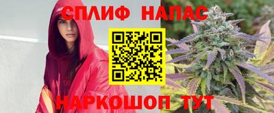 шишки Шахты