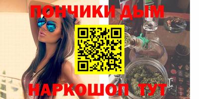 индика Шелехов