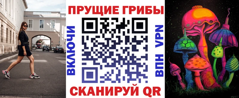 даркнет сайт Южно-Сахалинск Псилоцибиновые грибы прущие грибы